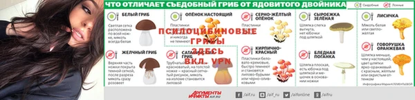 метадон Осташков