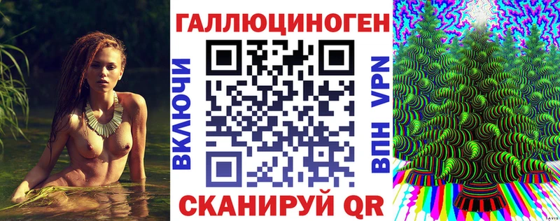 дарнет шоп Кинешма shop Telegram Галлюциногенные грибы Magic Shrooms