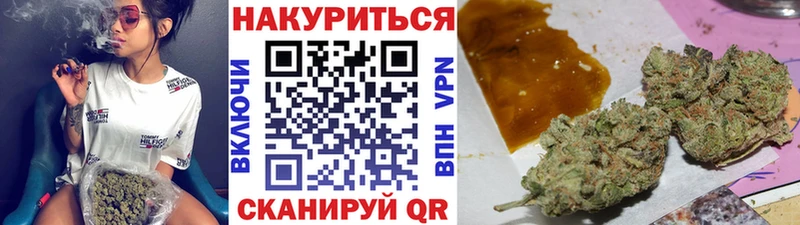 Бошки Шишки планчик  Кинешма 